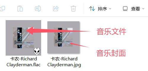 图片[9]-这款音乐发烧友必备神器，能一键下载FLAC无损格式音乐！这是一款可以无任何限制下载无